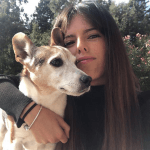 Mon chien halète et me suit partout - La santé de votre chien 