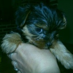 Help Lait Ar Epais Sans Caroube Rgo Biberons Et Sevrage Forum Grossesse Amp Bebe Doctissimo