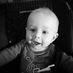 Mon Chat Claque Des Dents S Chats Forum Animaux