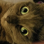 Lessive Retirer Des Taches Jaunes Grossesse Forum Grossesse Amp Bebe Doctissimo Lessive Retirer Des Taches Jaunes Grossesse Forum Grossesse Amp Bebe Doctissimo