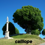 calliope51