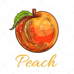 Peachies