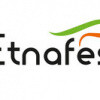 Logo-Etnafes
