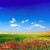 belles-images-paysage-fleuri-photo-emouvante-nature-vert-rouge-bleu