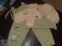 Enble vert grenouille  pantalon + sweat + bonnet BILOBA BON ETAT 2€
