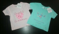18 MOIS : ( grand 12 mois ) Lot 2 T shirts rose & turquoise BARBOUILLE