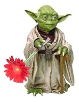 Petite Fleur - Yoda