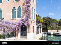 venice-in-spring-purple-wisteria-growing-over-a-palazzo-door-castello-venice-veneto-italy-with-bloss
