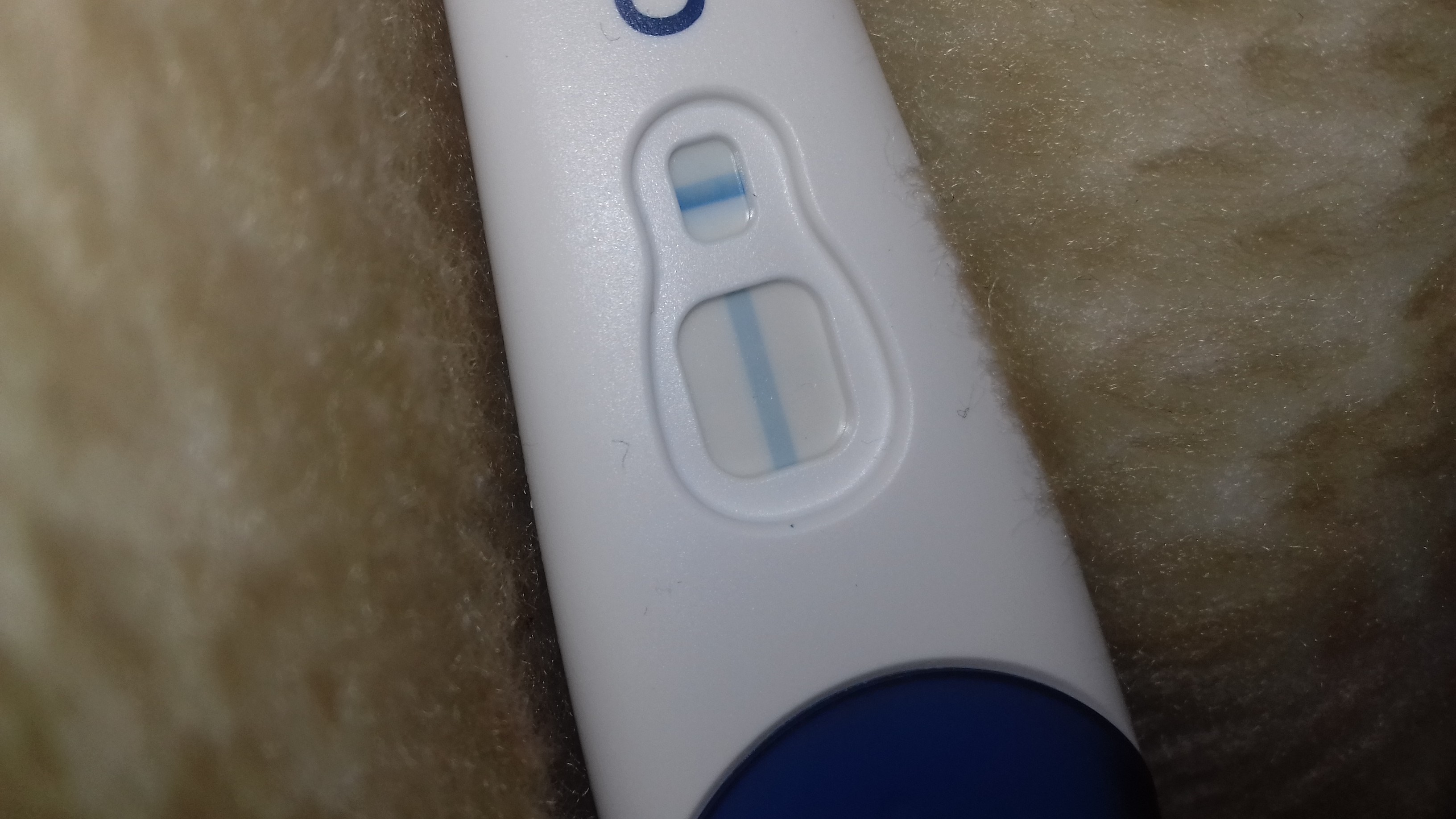 Test positif ou négatif ? Tests et symptômes de grossesse FORUM Grossesse & bébé Doctissimo