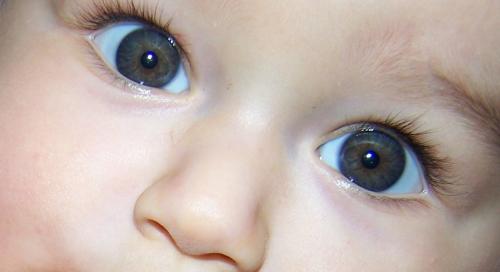 Les Yeux De Vos Loulou Te S Bebe Grandit Forum Grossesse Amp Bebe Doctissimo Les Yeux De Vos Loulou Te S Bebe Grandit Forum Grossesse Amp Bebe Doctissimo