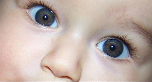 Les Yeux De Vos Loulou Te S Bebe Grandit Forum Grossesse Amp Bebe Doctissimo Les Yeux De Vos Loulou Te S Bebe Grandit Forum Grossesse Amp Bebe Doctissimo