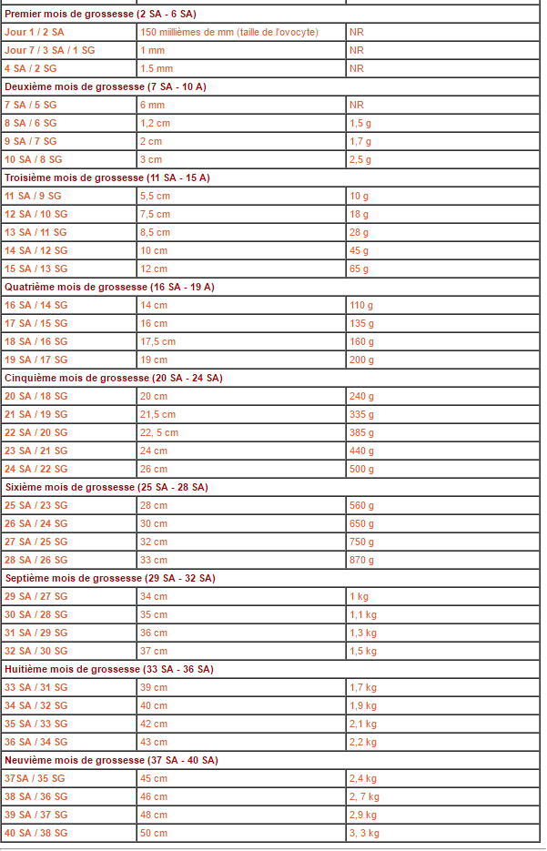 Bebe Costaud A L Echo Morpho Echographie Connaitre Le Sexe De Votre Bebe Forum Grossesse Amp Bebe Doctissimo Bebe Costaud A L Echo Morpho Echographie Connaitre Le Sexe De Votre Bebe Forum Grossesse Amp Bebe Doctissimo