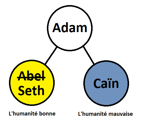 La droite et la gauche d'Adam
