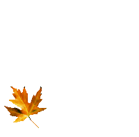 automne