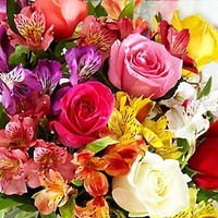 bouquet-surprise-du-fleursite-colore-entrefleuristes-3303-500