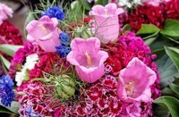 bouquet-of-flowers-1465999_960_720