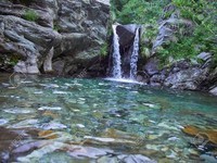 31836292-ruisseau-de-montagne-avec-cascade-dans-la-forêt-dans-les-alpes-italiennes