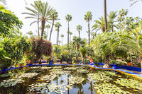Jardin-Majorelle_Marrakech