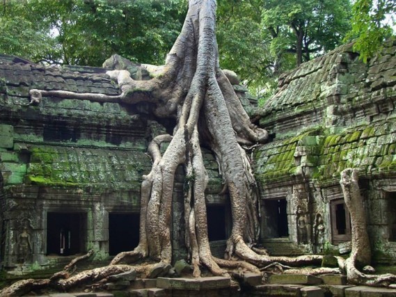 Temple d'Angkor au Cambodge