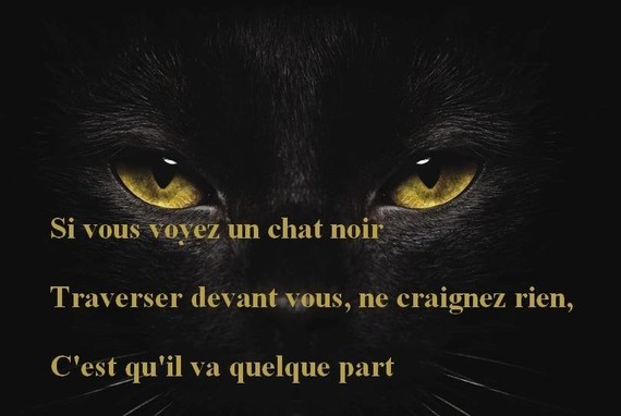 chat_noir