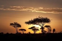 lever-soleil-Serengeti