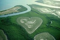 coeur-de-voh-dans-la-mangrove-sur-la-grande-terre-nouvelle-caledonie