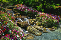 beautiful-tropical-waterfall-5019636