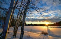 winter-landscape-1145816_960_720