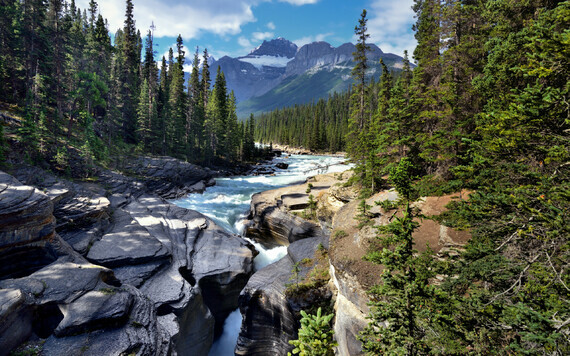 mountain-river-rocks-forest-summer-mountain-landscape