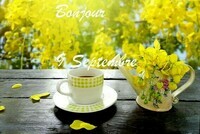 fleur-jaune-de-café-et-de-ressort-sur-le-fond-d-automne-de-nature-73204968