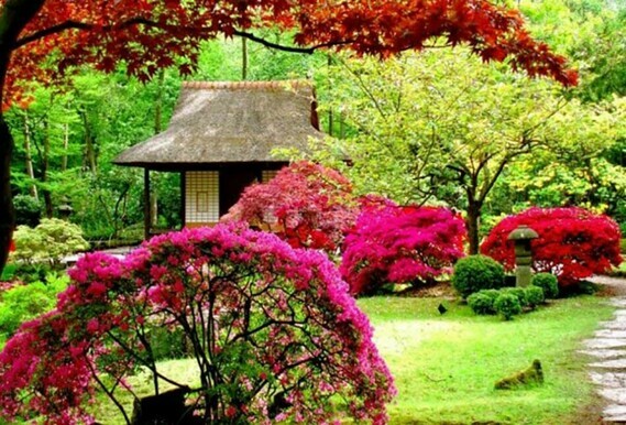 3-jardin-japonais
