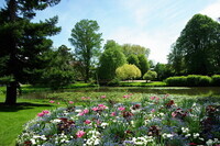 1045_345_jardin-des-prebendes-fleurs