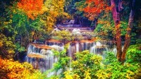 945407-autumn-fall-season-nature-landscape-leaf-leaves-color-seasons-tree-forest