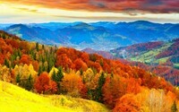 945370-autumn-fall-season-nature-landscape-leaf-leaves-color-seasons-tree-forest