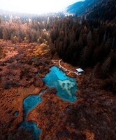 Réserve naturelle de Zelenci_Slovénie