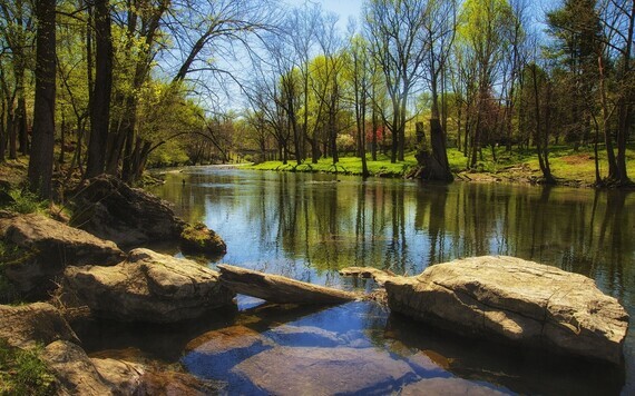 Spring-river-trees-rocks-grass_1920x1200