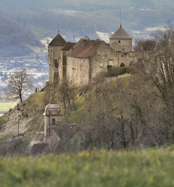 Château de Belvoir _ Doubs