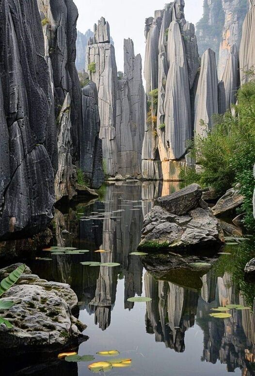 La forêt de pierre de Shilin _ Chine