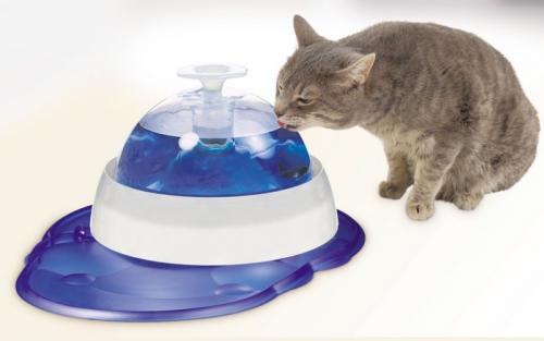Sa Gamelle D Eau Chats Forum Animaux Doctissimo Sa Gamelle D Eau Chats Forum Animaux Doctissimo