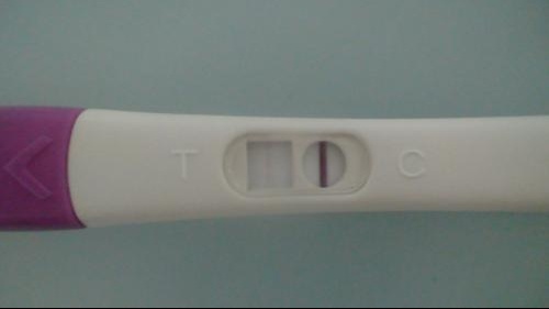 Nep test grossesse