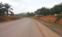 La route Congo-Cameroun. Elle traverse la forêt du Bassin du Congo