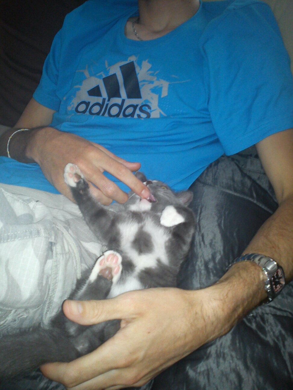 Joyeux Anniversaire Ma Chouquette Chats Forum Animaux Doctissimo