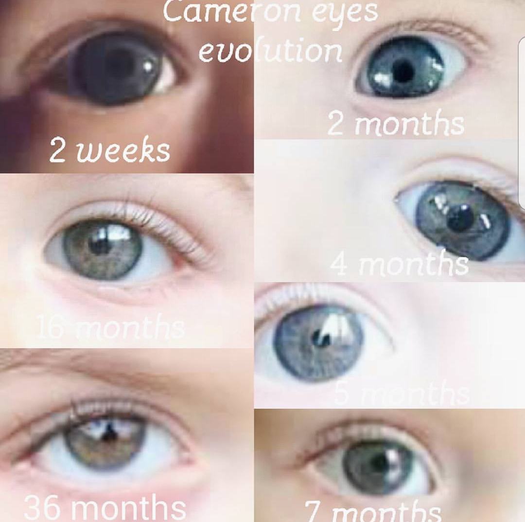 Bebe 4 Mois Yeux Gris Vert Bebe 4 Mois Yeux Gris Vert