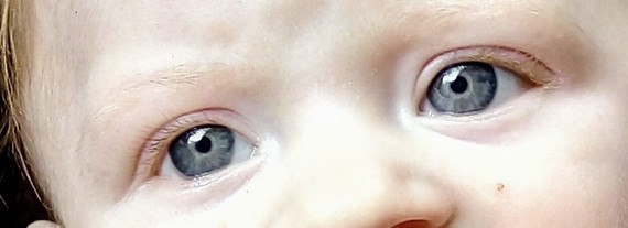 Yeux De Bebe