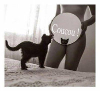 t'as vu ma chatte 001