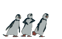pingouin danseurs