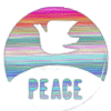 paix  colombe