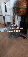 Anniv Draco 3 ans
