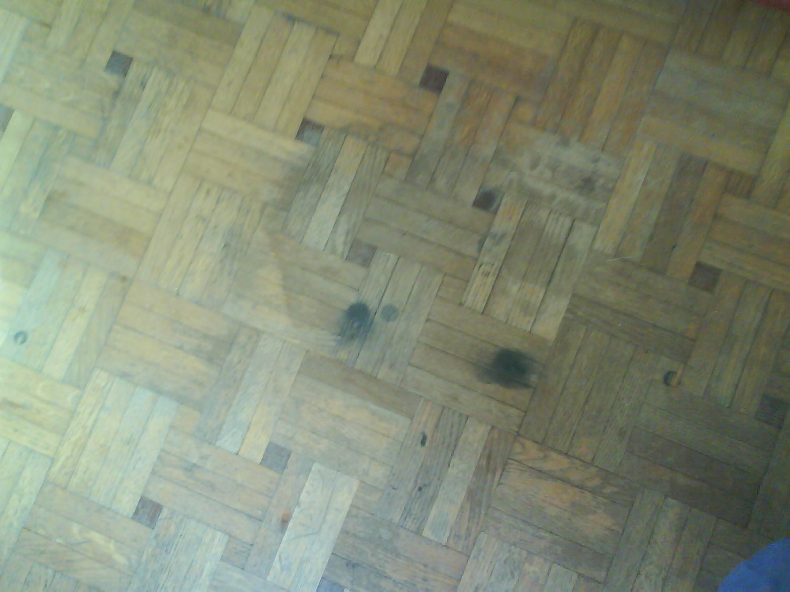 Comment Rattraper Un Parquet Vitrifie Tres Use Sans Poncage Bricolage Forum Vie Pratique Doctissimo Comment Rattraper Un Parquet Vitrifie Tres Use Sans Poncage Bricolage Forum Vie Pratique Doctissimo