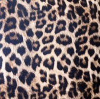 Simili cuir léopard